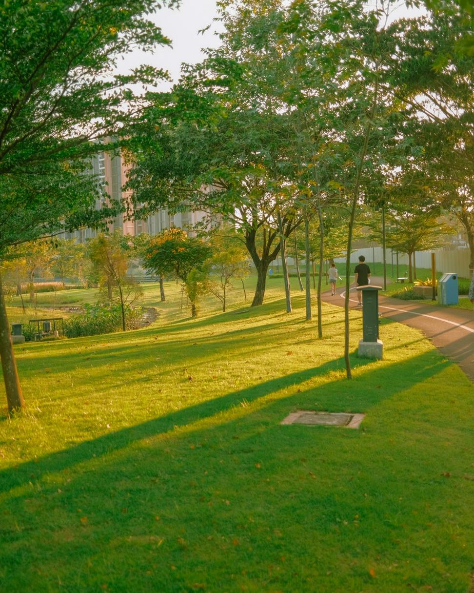 Waterfront Commons